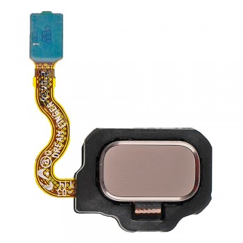 Кнопка Home для Samsung G955 Galaxy S8 Plus (Maple gold) (Original PRC)